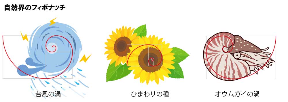 自然界のフィボナッチ