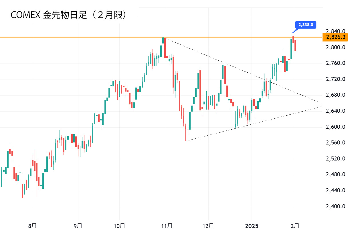 ドル建て金価格（日足）