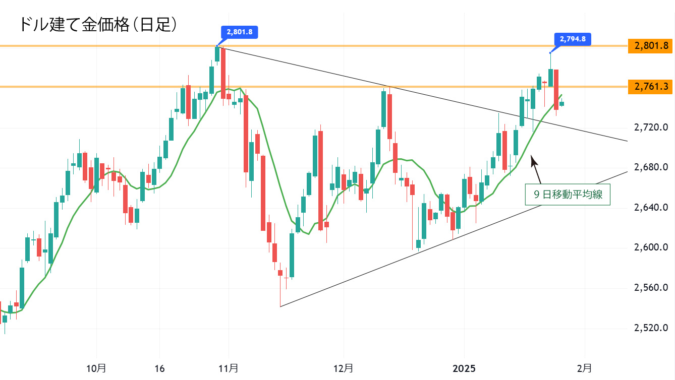 ドル建て金価格チャート（日足）